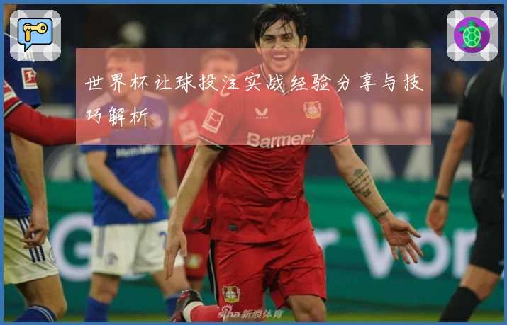 世界杯让球投注实战经验分享与技巧解析