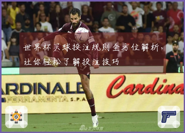 世界杯买球投注规则全方位解析，让你轻松了解投注技巧