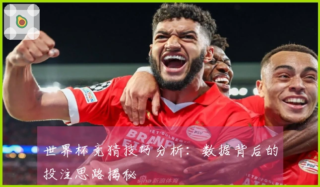 世界杯竞猜技巧分析：数据背后的投注思路揭秘