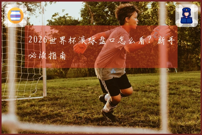 2026世界杯滚球盘口怎么看？新手必读指南