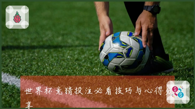 世界杯竞猜投注必看技巧与心得分享