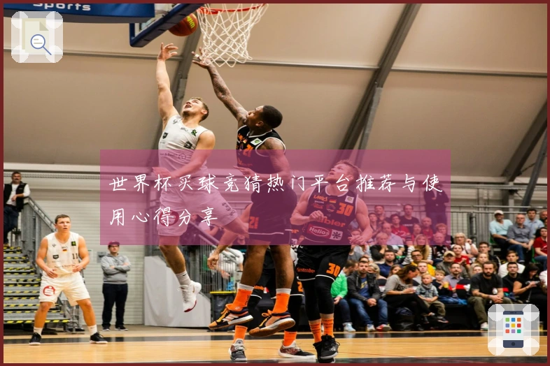 世界杯买球竞猜热门平台推荐与使用心得分享