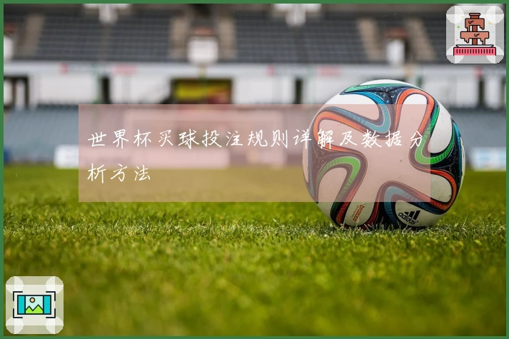 世界杯买球投注规则详解及数据分析方法