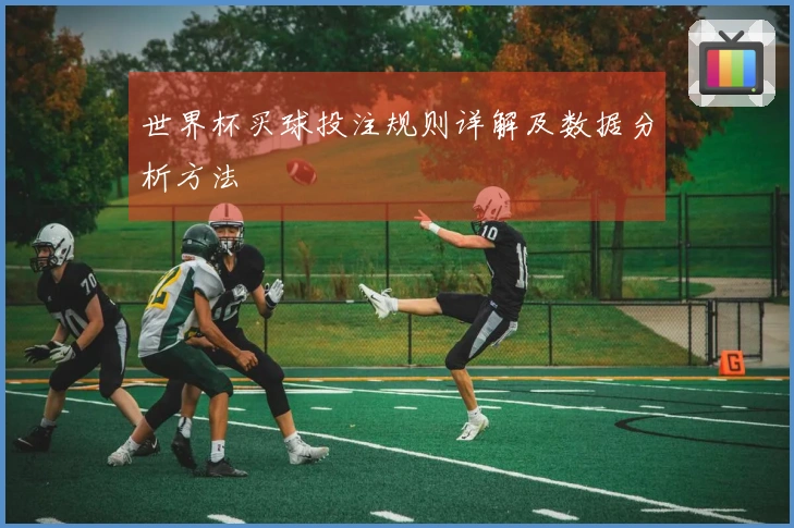 世界杯买球投注规则详解及数据分析方法