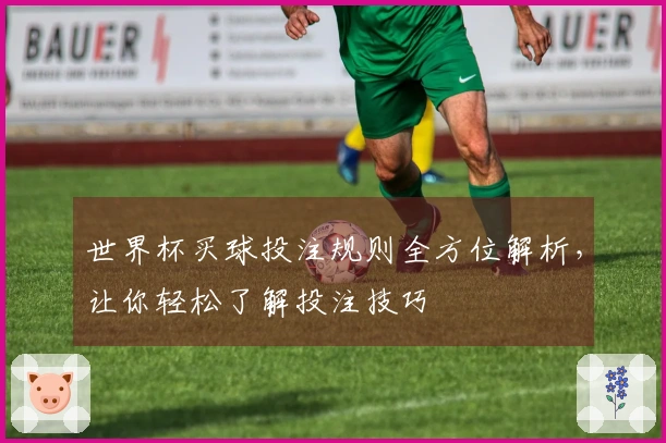 世界杯买球投注规则全方位解析，让你轻松了解投注技巧