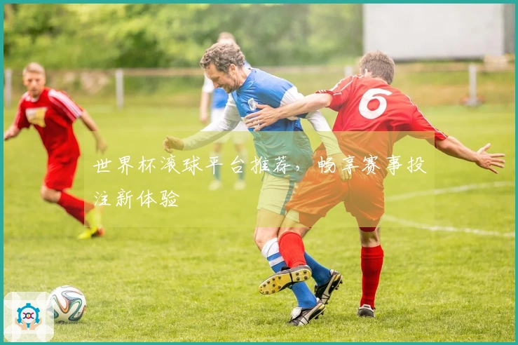 世界杯滚球平台推荐，畅享赛事投注新体验