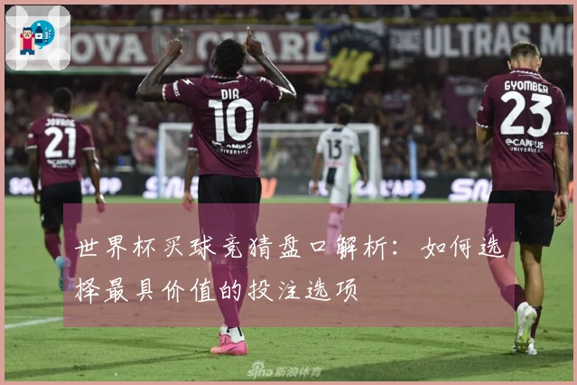 世界杯买球竞猜盘口解析：如何选择最具价值的投注选项