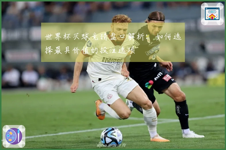 世界杯买球竞猜盘口解析：如何选择最具价值的投注选项