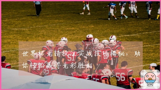 世界杯竞猜投注实战技巧揭秘，助你轻松赢得竞彩胜利